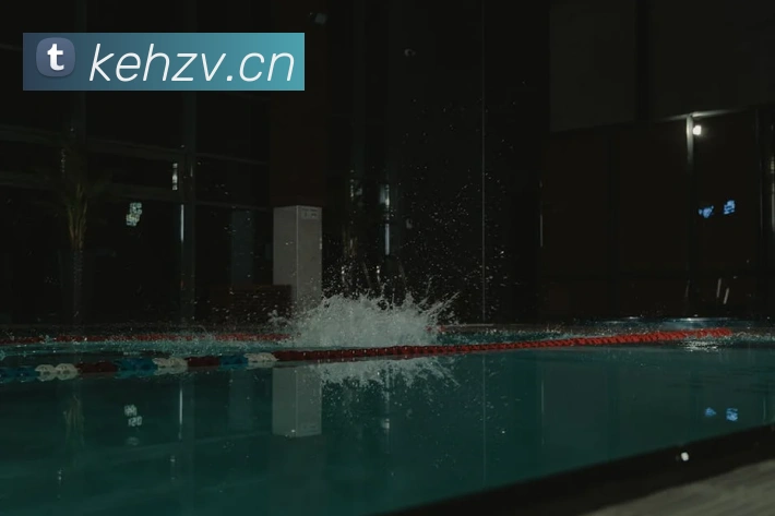 云开体app官网登录入口平台生态图